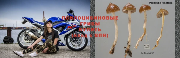 прущая мука Баксан