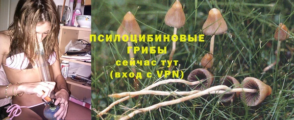 дживик Балахна