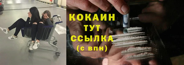 дживик Балахна