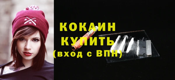 дживик Балахна