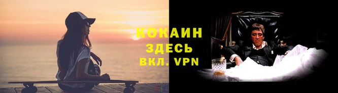 гашик Белокуриха