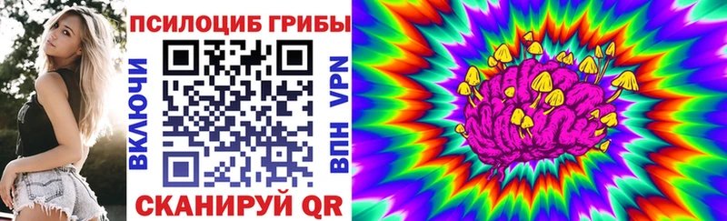 закладки  Белый  Галлюциногенные грибы GOLDEN TEACHER 